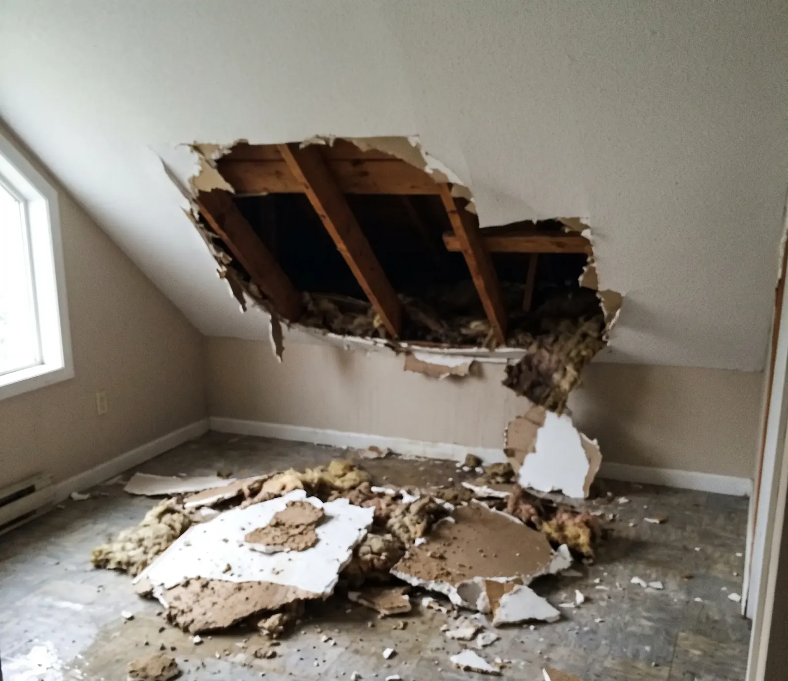 7 Signs of Hidden Water Damage in Your Hollywood, FL Home
