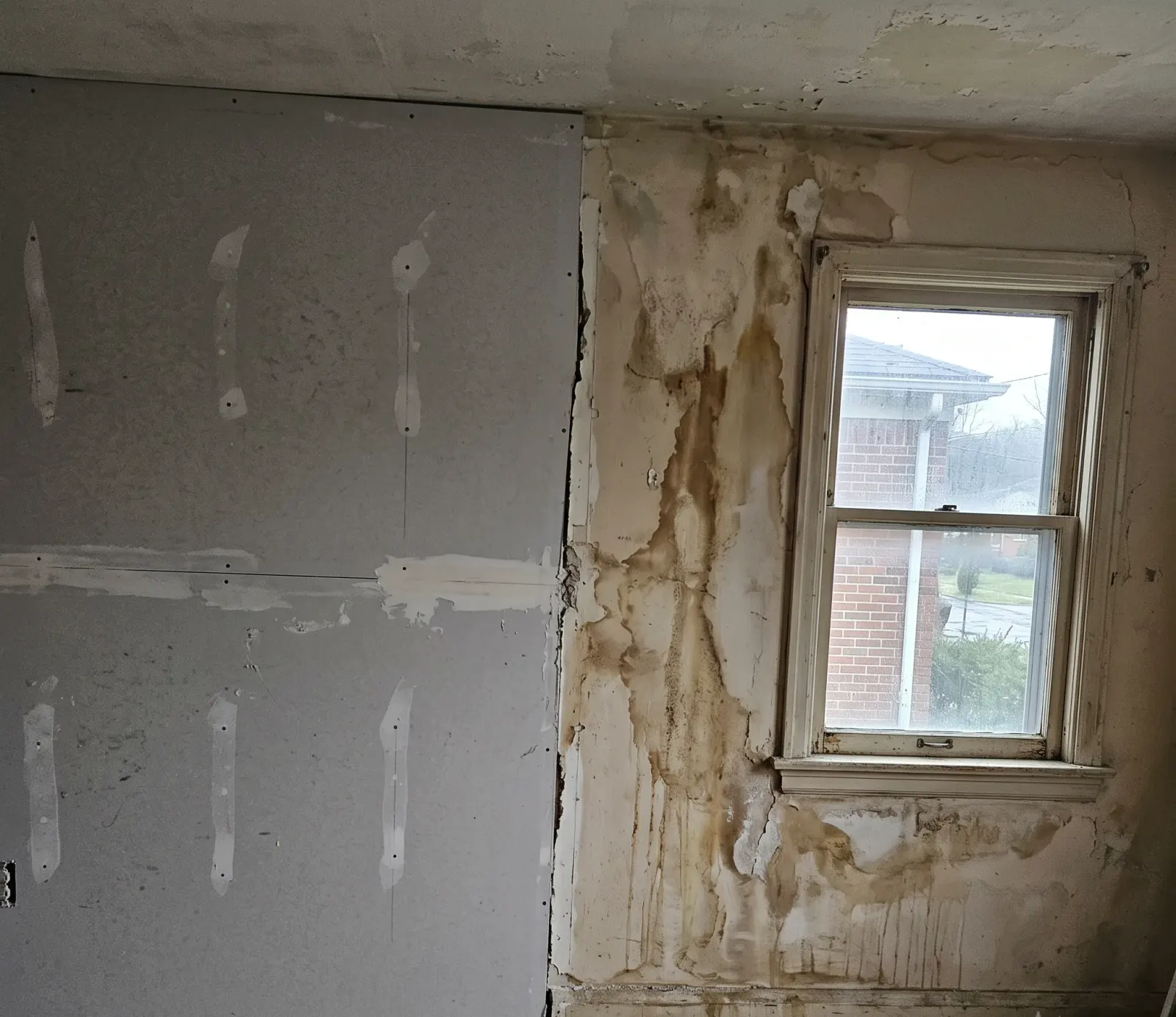 Professional water damage restoration technician treating a home foundation in Hollywood, FL
