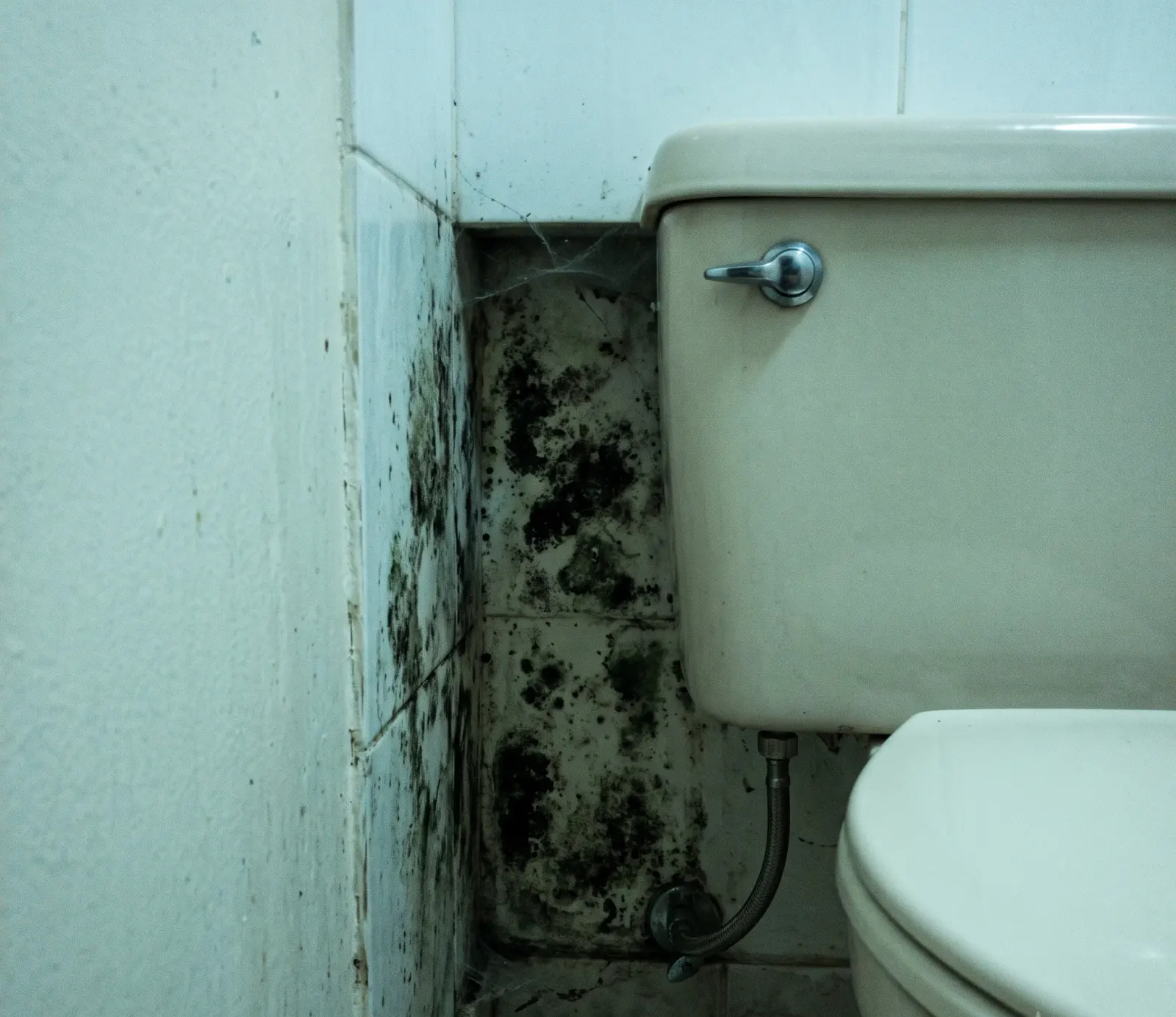 Burst Supply Line water damage in Hollywood, FL