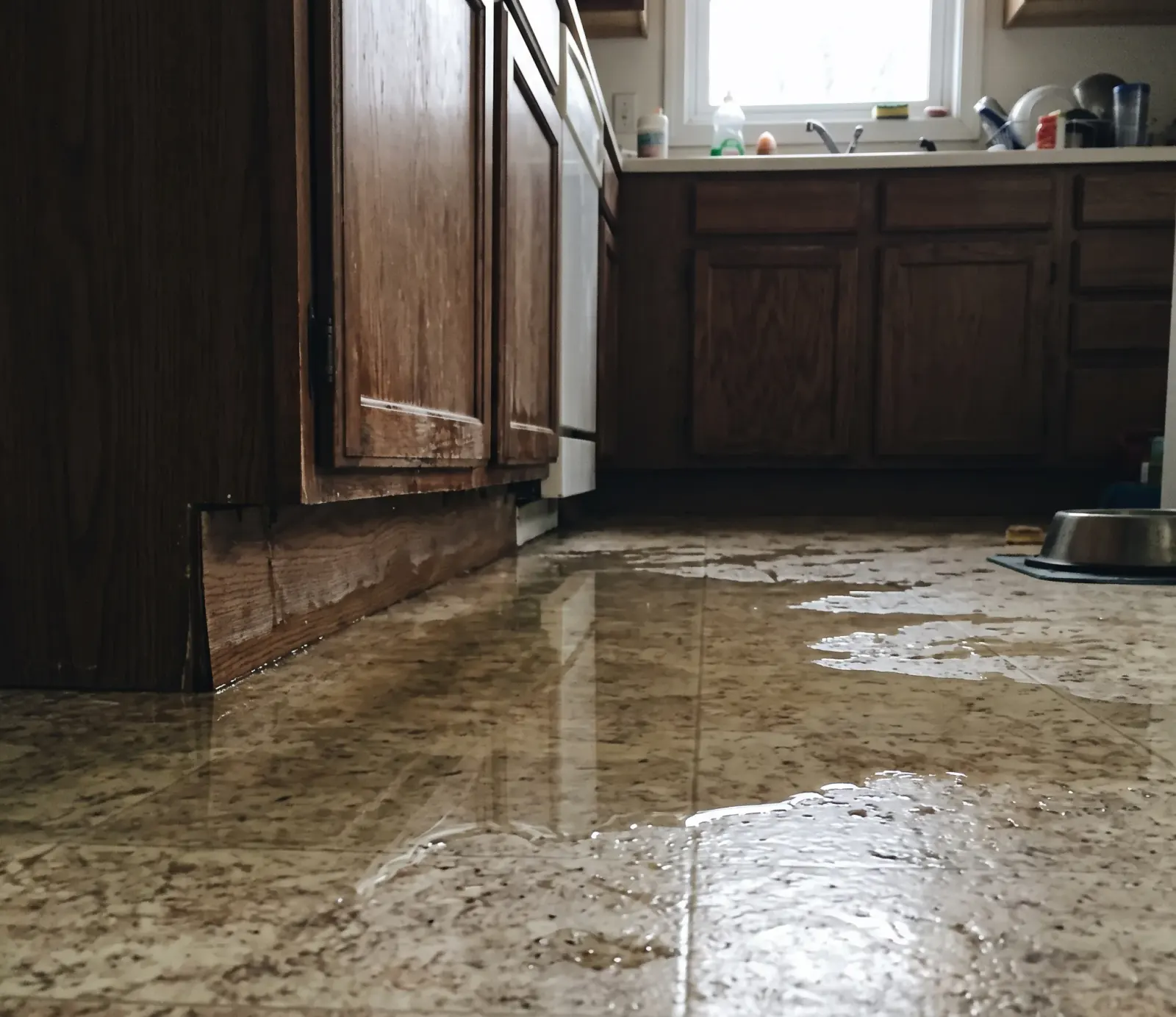 Restaurants & Food Service water damage restoration in Hollywood, FL